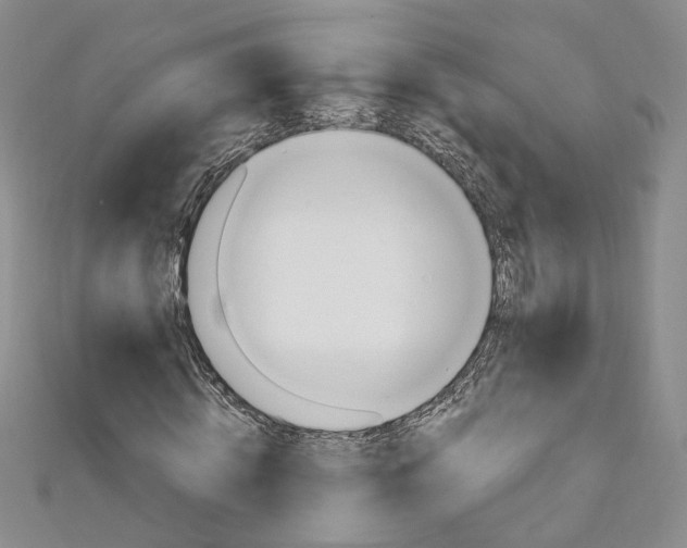 X0000110870820200907021434