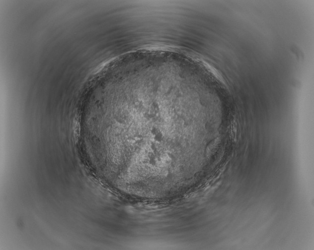 X0000110870821200907021434