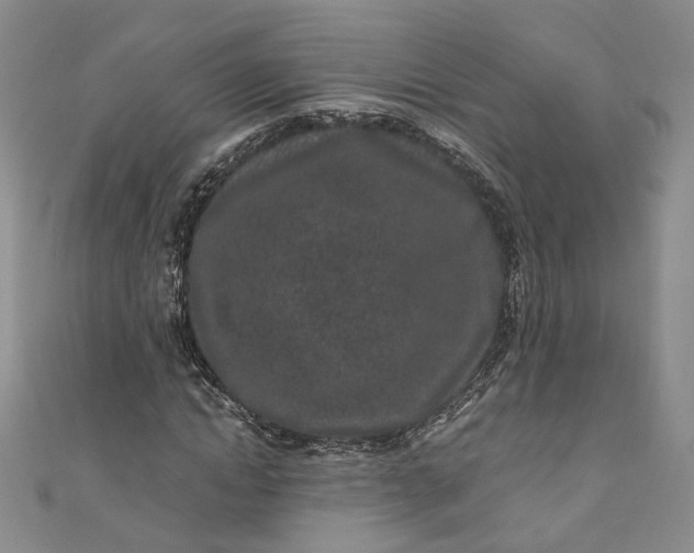 X0000110870822200907021434