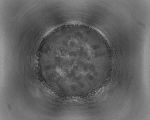 X0000110870823200907021434