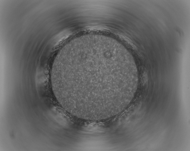 X0000110870824200907021434