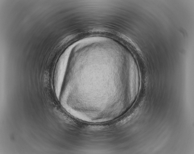 X0000110870825200907021434