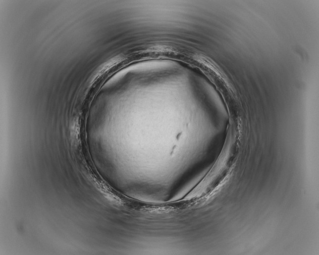 X0000110870826200907021434