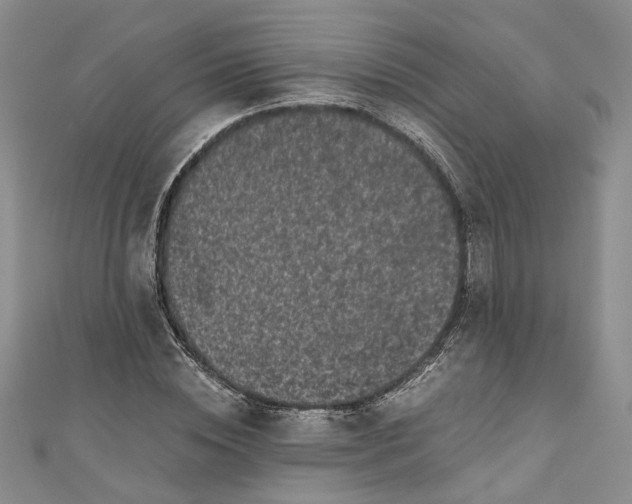 X0000110870828200907021435