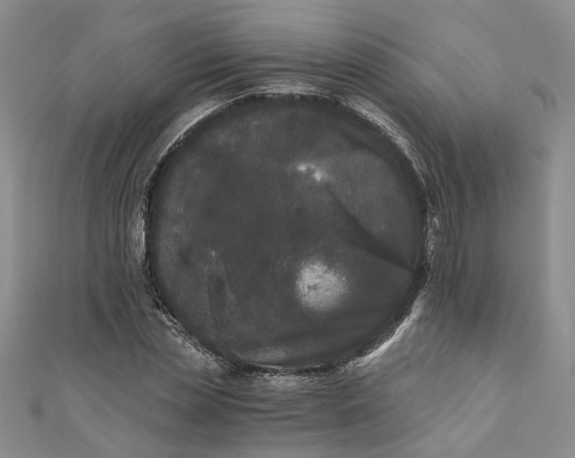 X0000110870829200907021435