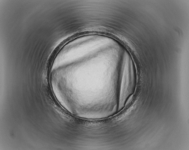 X0000110870830200907021435