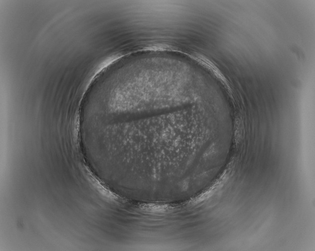 X0000110870831200907021435