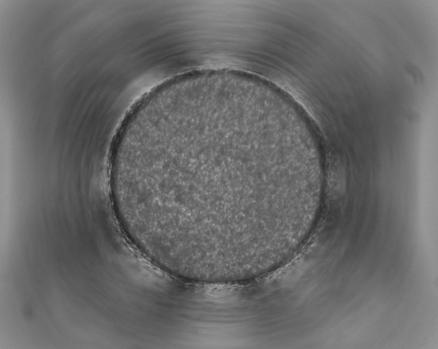 X0000110870832200907021435