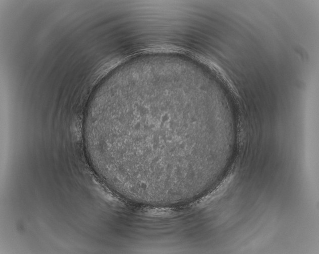 X0000110870833200907021435