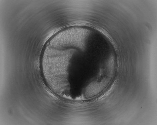 X0000110870834200907021435