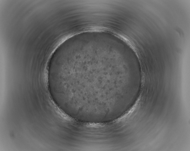 X0000110870835200907021435