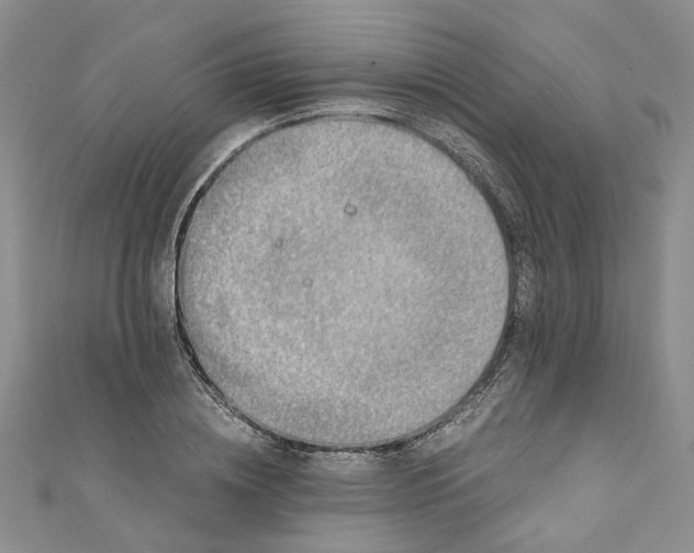 X0000110870836200907021435