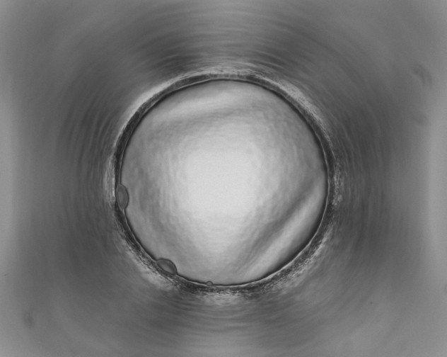 X0000110870838200907021435