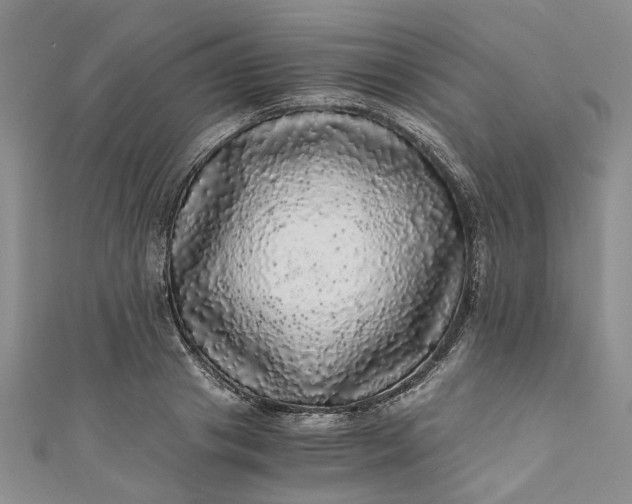 X0000110870841200907021435