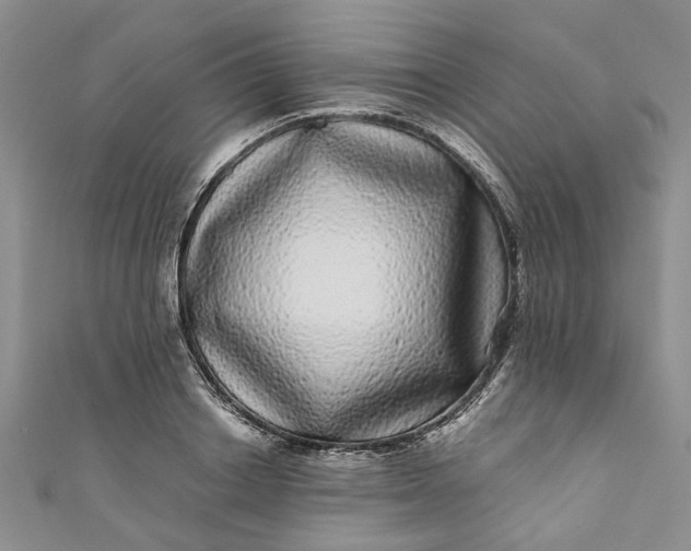 X0000110870842200907021435