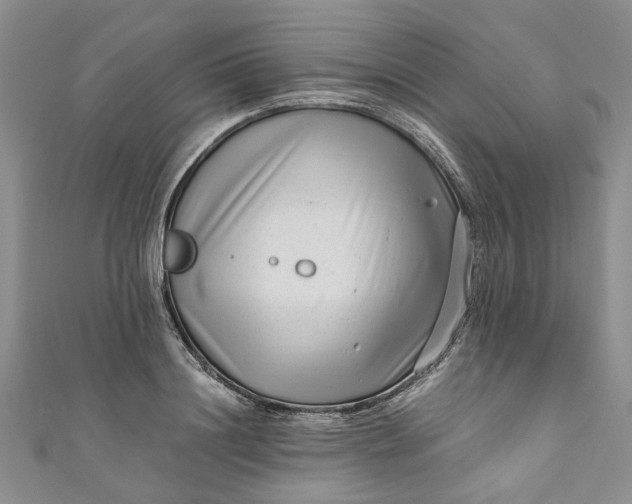 X0000110870844200907021435