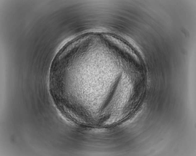 X0000110870845200907021435