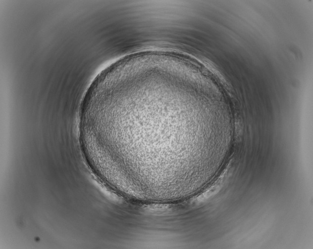 X0000110870846200907021435