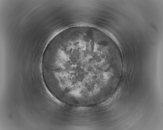 X0000110870847200907021435