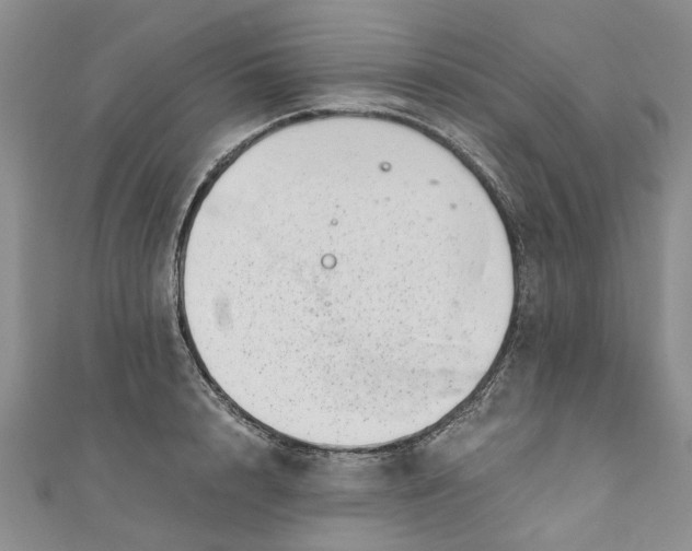 X0000110870848200907021435