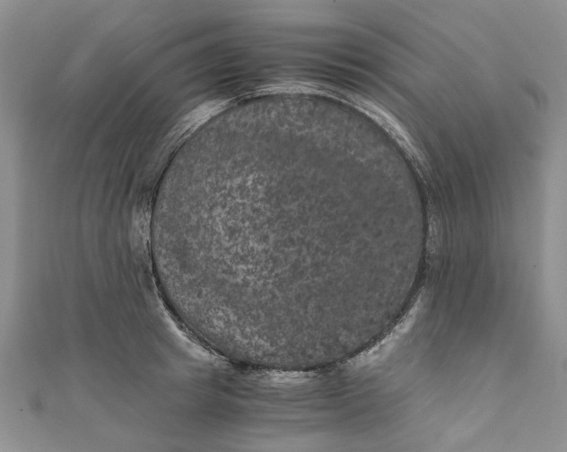 X0000110870849200907021435