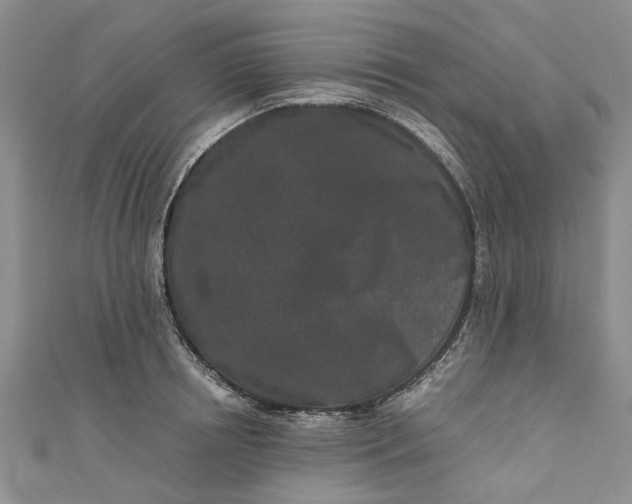 X0000110870850200907021435