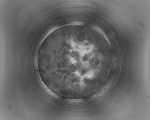 X0000110870851200907021435