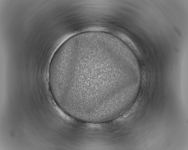 X0000110870852200907021435