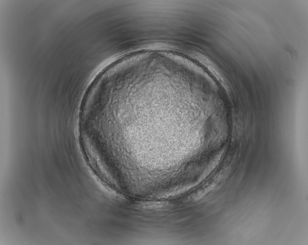 X0000110870853200907021435