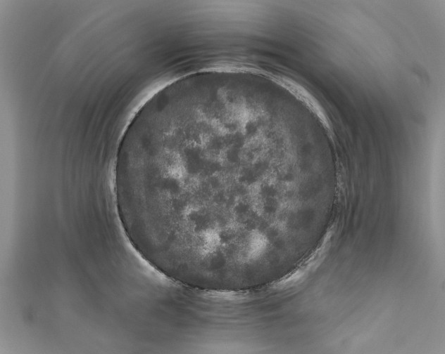 X0000110870855200907021435