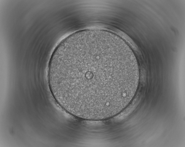 X0000110870856200907021435