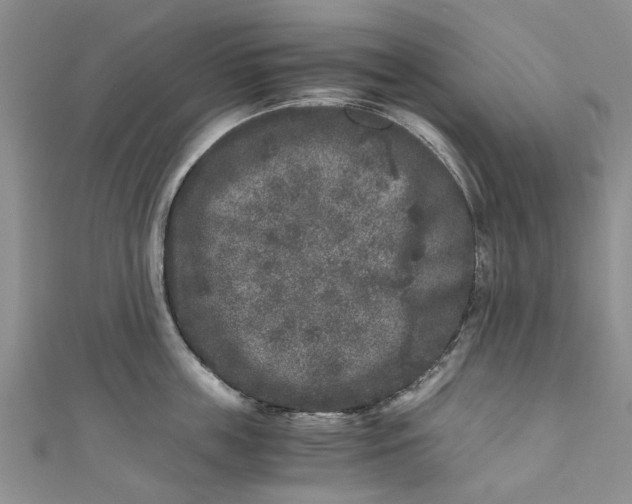 X0000110870859200907021435