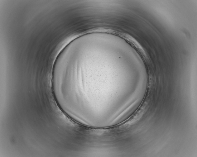 X0000110870860200907021435