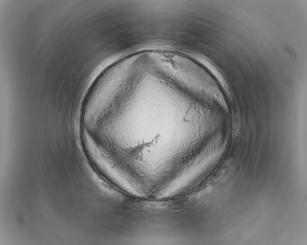 X0000110870861200907021435