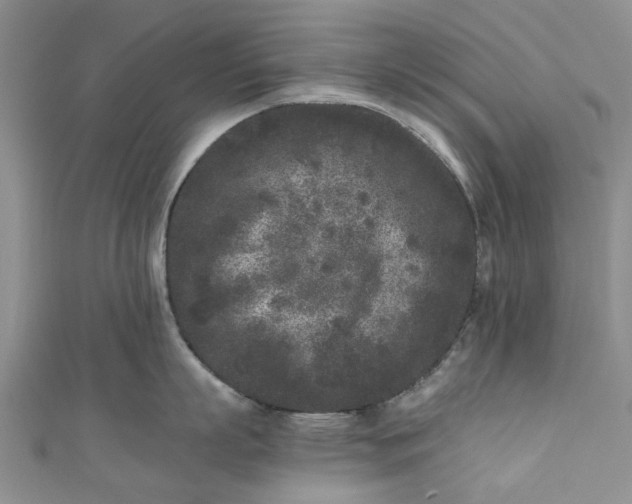 X0000110870863200907021435