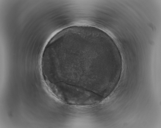 X0000110870864200907021435