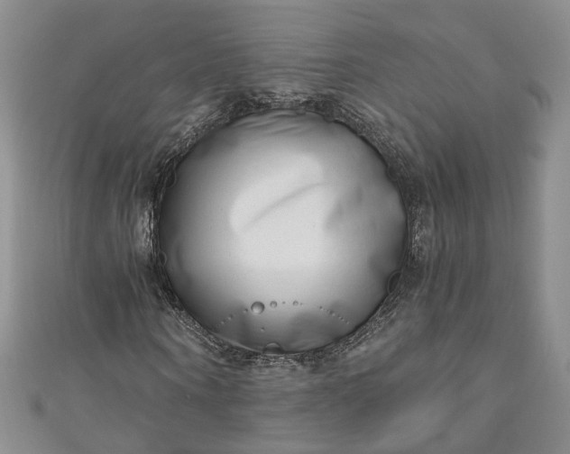 X0000110870866200907021434