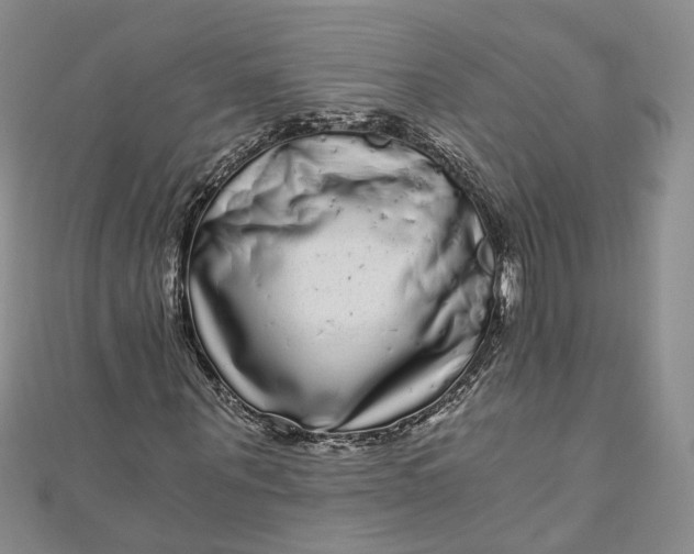 X0000110870867200907021434