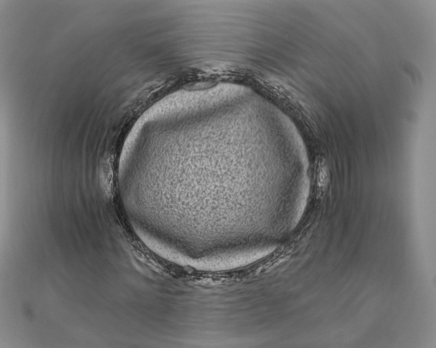 X0000110870868200907021434