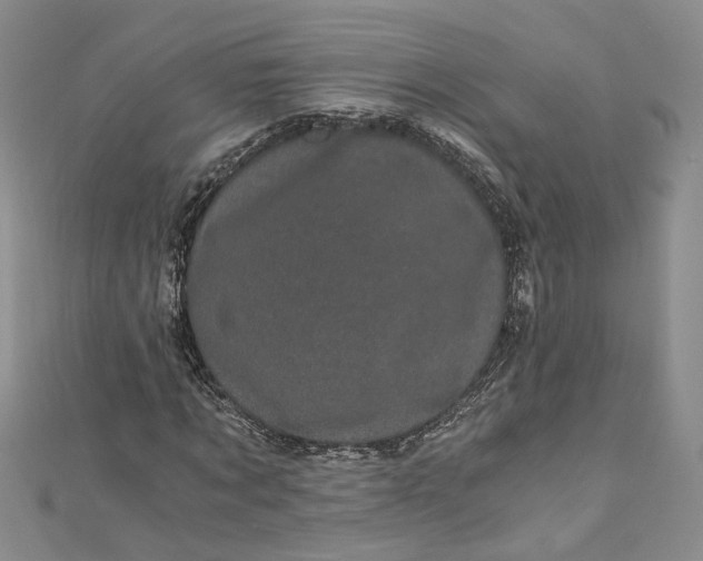 X0000110870869200907021434