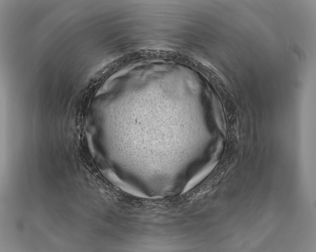 X0000110870870200907021434