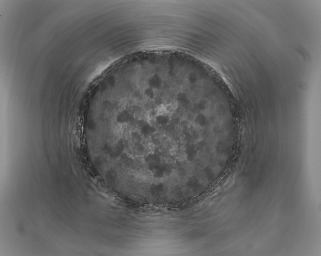 X0000110870871200907021434