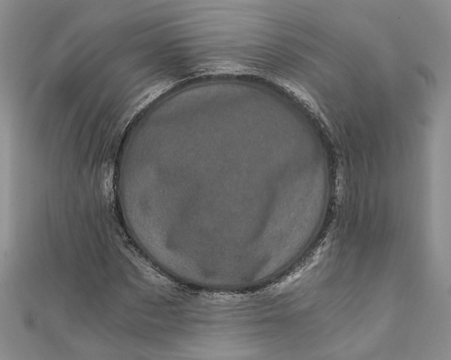 X0000110870873200907021434