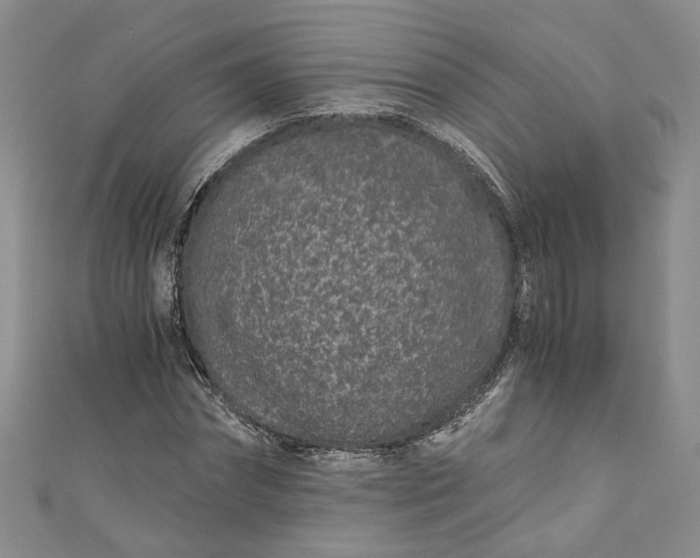 X0000110870874200907021434