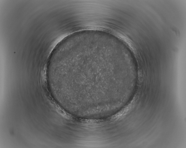 X0000110870875200907021434