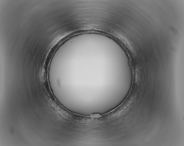 X0000110870876200907021434