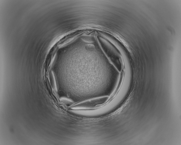 X0000110870877200907021434