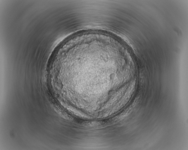 X0000110870879200907021434