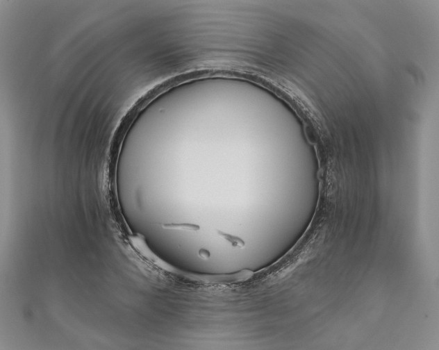 X0000110870880200907021434