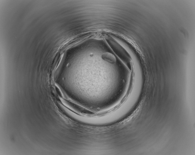 X0000110870881200907021434